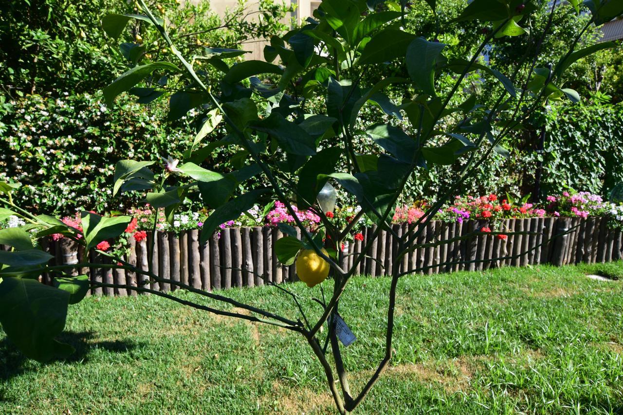 Bed and Breakfast Giardino Sorrentino Exterior foto